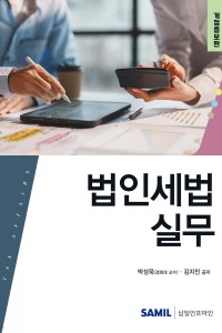 법인세법 실무(2025)