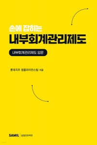 손에 잡히는 내부회계관리제도(2025)